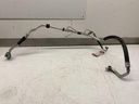 IMG_2270.jpeg