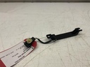 IMG_2245.jpeg