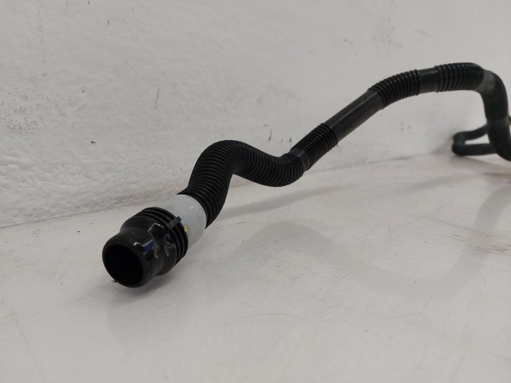 20241205_155428.jpg
