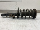IMG_2376.jpeg