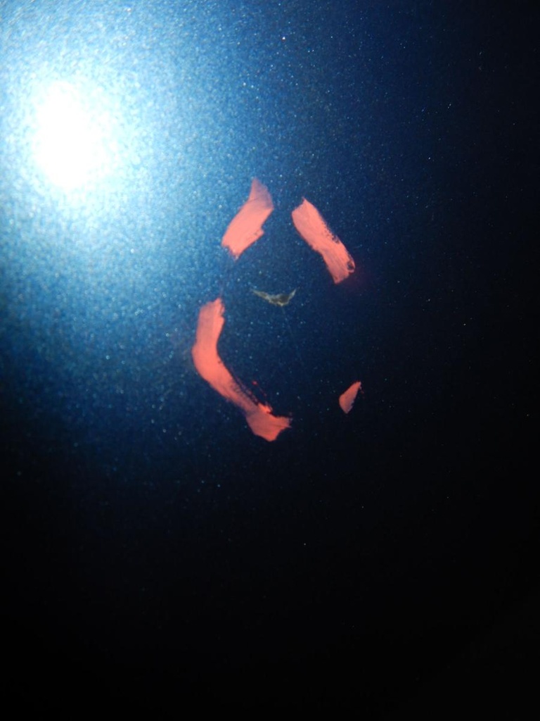 DSCN1170.JPG