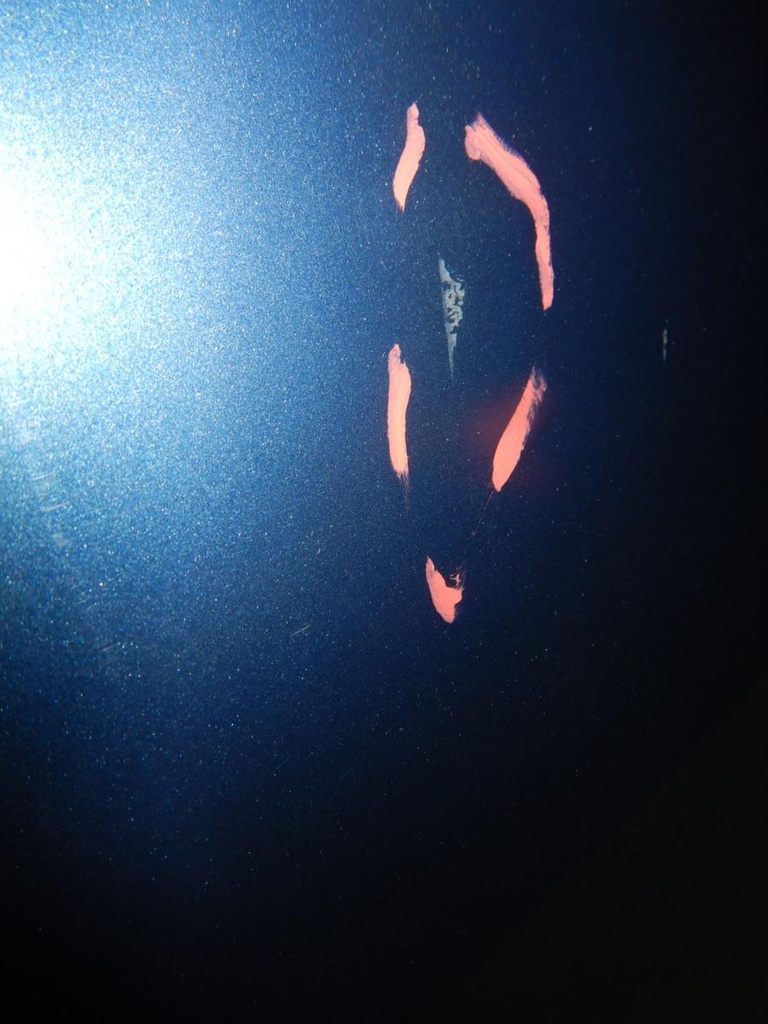 DSCN1169.JPG