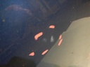DSCN1151.JPG