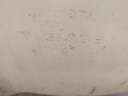 20241213_084843.jpg