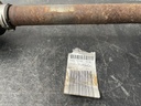 IMG_4204.jpeg