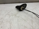 IMG_2597.jpeg