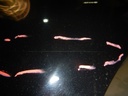 DSCN1401.JPG