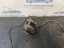 IMG_4683.jpeg