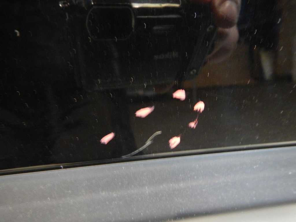 DSCN1532.JPG