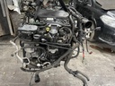 IMG_5203.jpeg