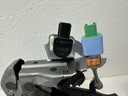 IMG_9674.jpeg