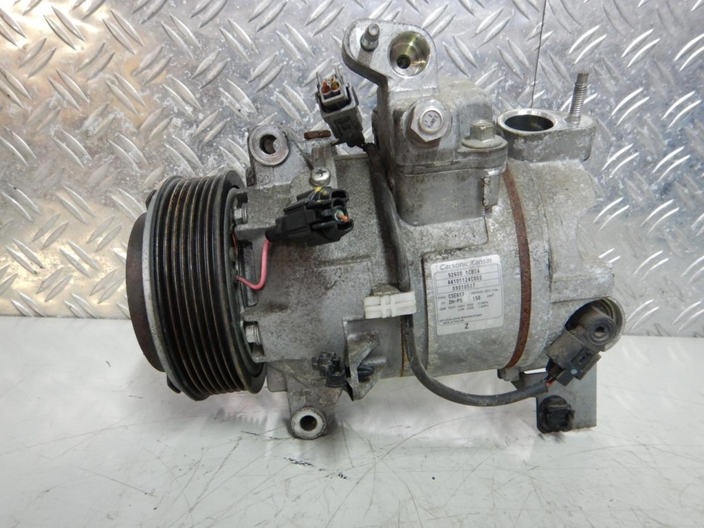 DSCN8980.JPG