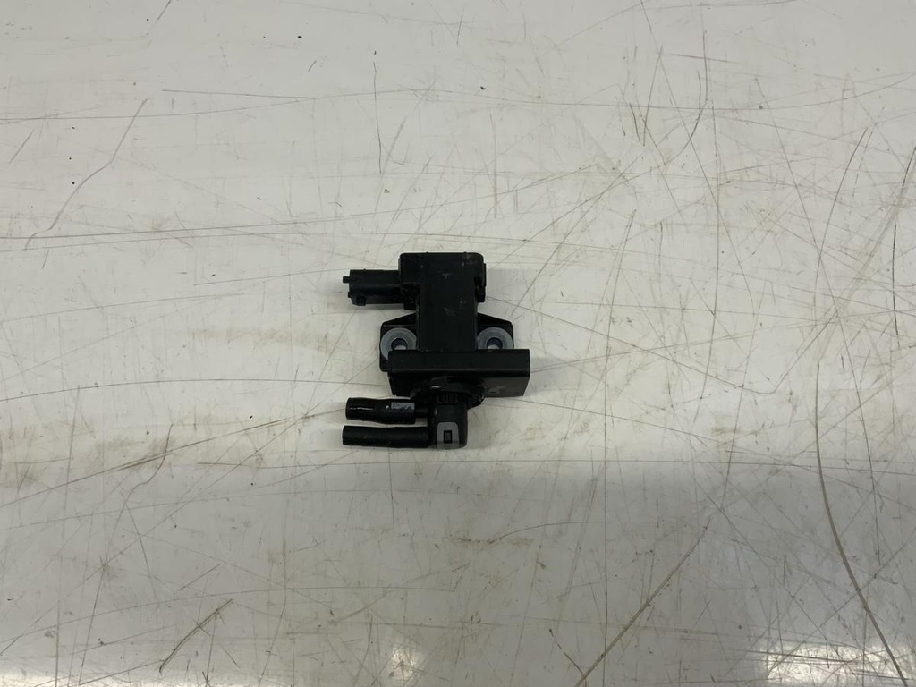 IMG_2984.jpeg