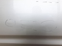 20250115_134458.jpg