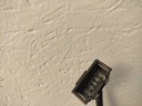 IMG_20250116_105333.jpg