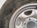 IMG_20250124_112832.jpg
