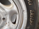 IMG_20250124_112816.jpg