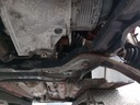 IMG_20250127_093845348.jpg