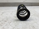IMG_3379.jpeg