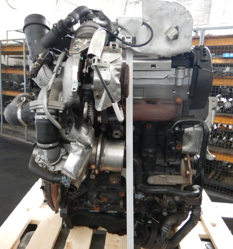 DSCN9459.JPG