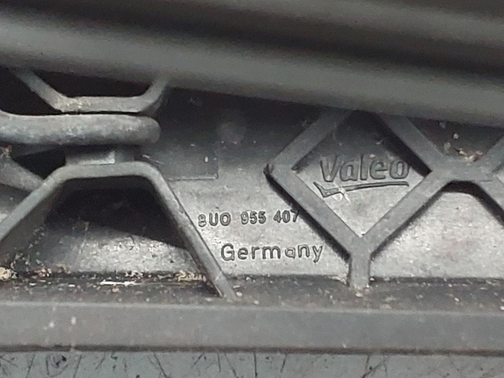 20250204_153148.jpg