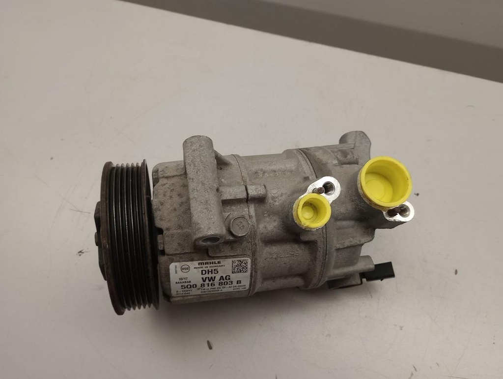 IMG_20250207_160913655.jpg
