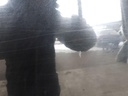 20250214_105952.jpg