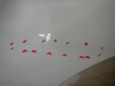 DSCN2573.JPG