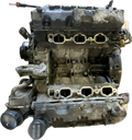 IMG_3891.png