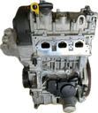 IMG_3999.png