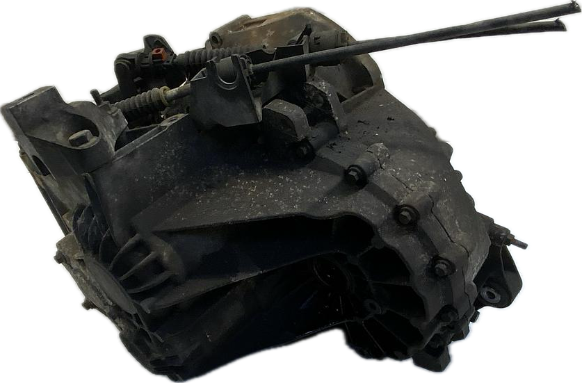 IMG_4042.png