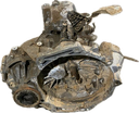 IMG_4061.png