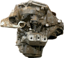 IMG_4063.png
