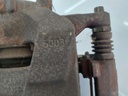20250307_121019.jpg
