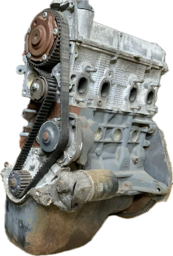 IMG_4392.png