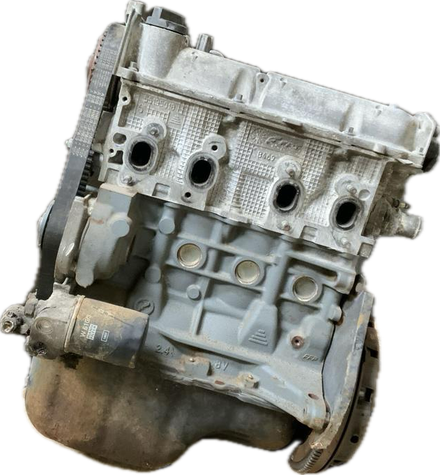 IMG_4397.png