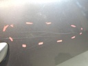 DSCN2957.JPG