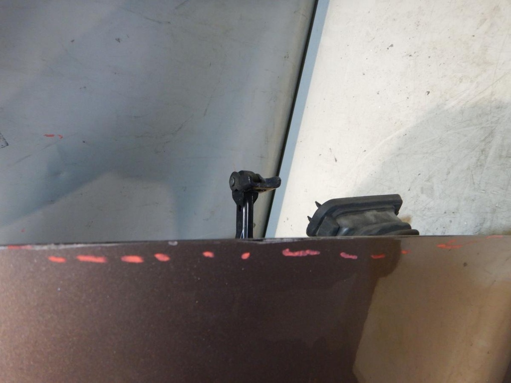 DSCN2956.JPG