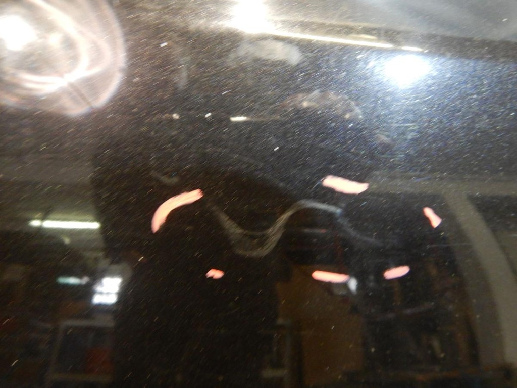 DSCN2988.JPG