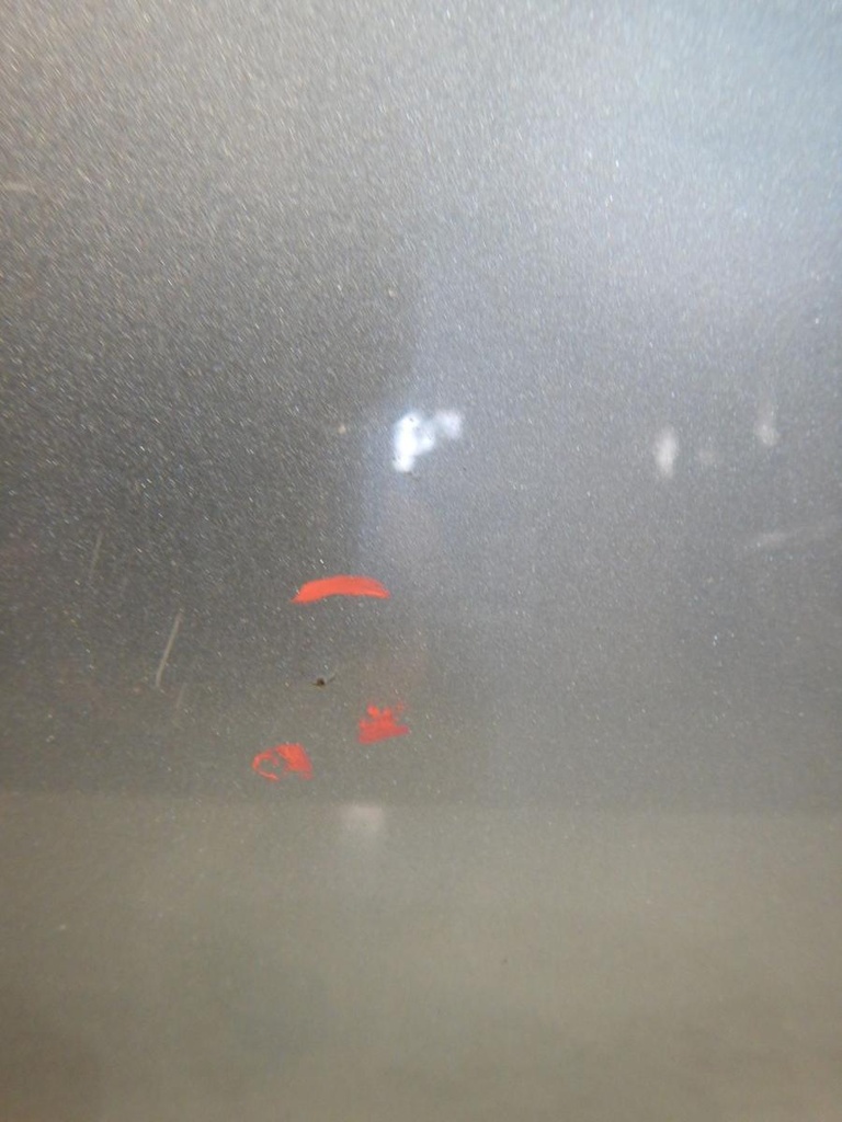 DSCN3229.JPG