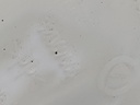 20250326_144838.jpg
