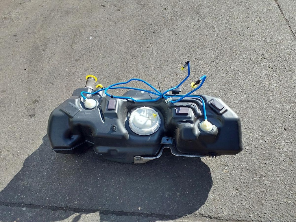 20250331_161614.jpg