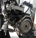 DSCN0379.JPG