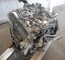 DSCN0403.JPG