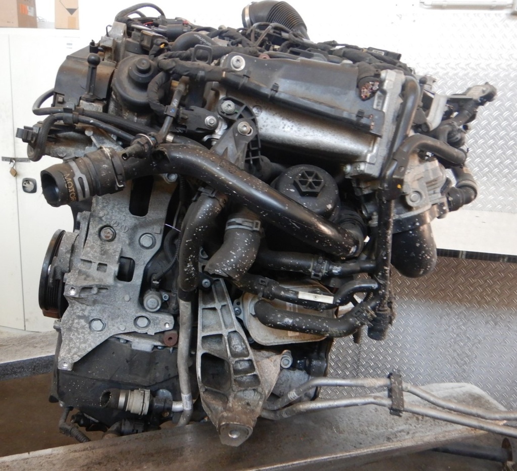 DSCN0399.JPG