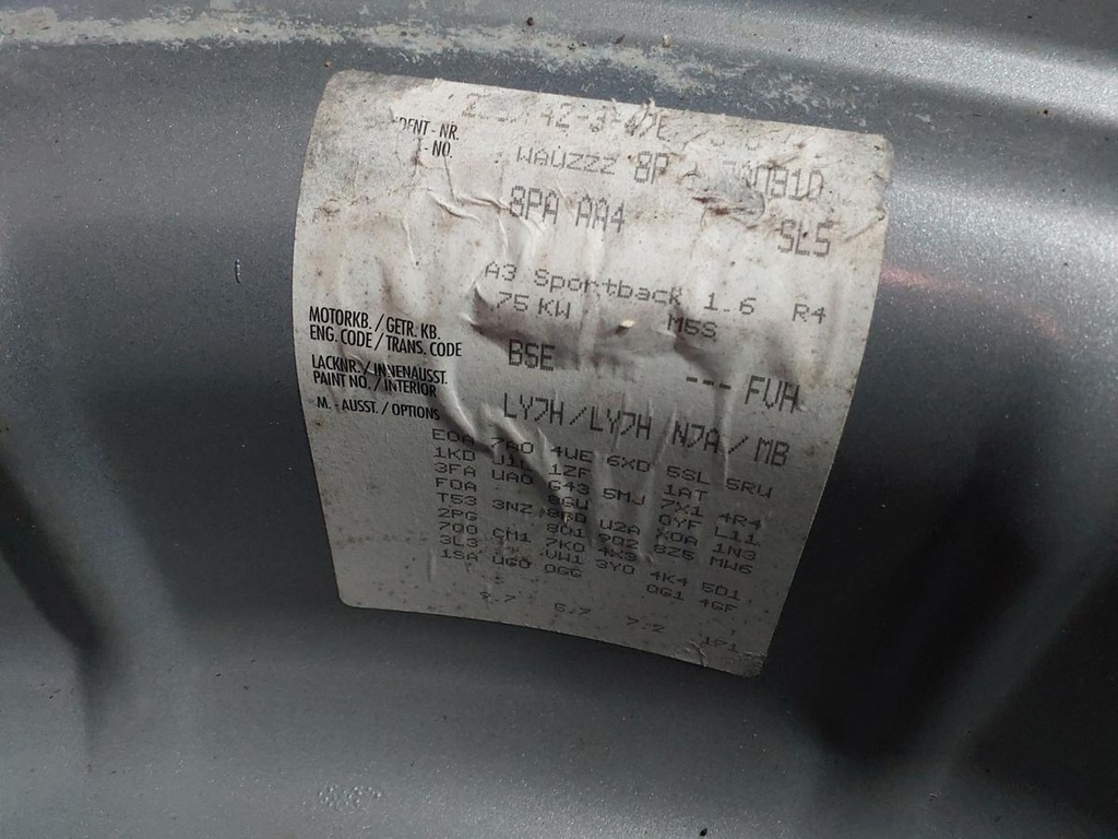20250408_145334.jpg