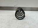 IMG_4594.jpeg