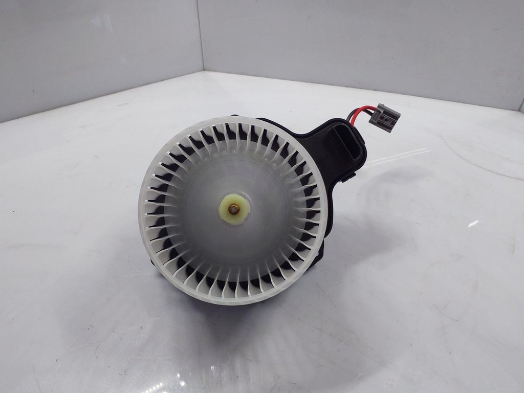 20250428_111604.jpg