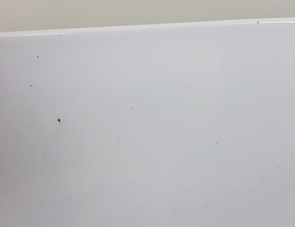 20250502_093739.jpg