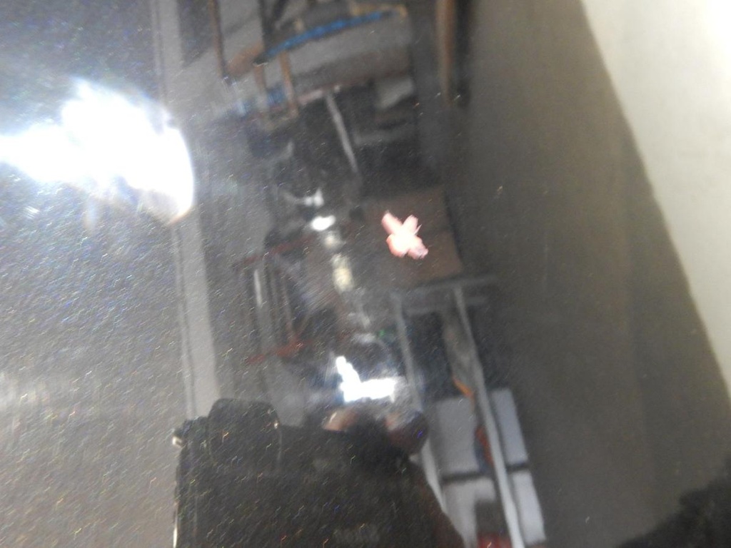 DSCN4031.JPG